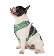 Load image into Gallery viewer, Pablo &amp; Co 70 Style Adjustable Dog Harness
