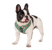 Load image into Gallery viewer, PABLO &amp; CO 70 STYLE ADJUSTABLE DOG HARNESS
