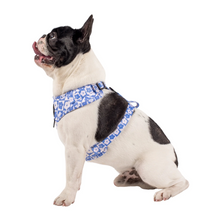 Load image into Gallery viewer, Pablo &amp; Co Blue Checkered Daisies Adjustable Harness
