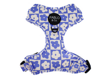 Load image into Gallery viewer, Pablo &amp; Co Blue Checkered Daisies Adjustable Harness
