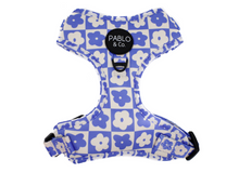 Load image into Gallery viewer, PABLO &amp; CO BLUE CHECKERED DAISIES ADJUSTABLE HARNESS
