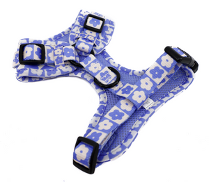 PABLO & CO BLUE CHECKERED DAISIES ADJUSTABLE HARNESS