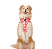 Load image into Gallery viewer, Pablo &amp; Co Pink Checkered Daisies Adjustable Harness
