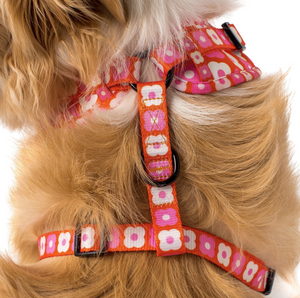 PABLO & CO PINK CHECKERED DAISIES ADJUSTABLE HARNESS