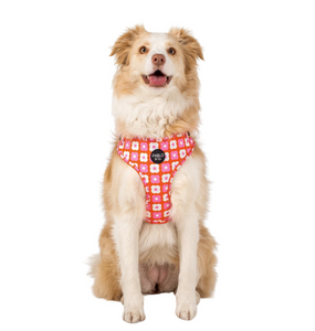 PABLO & CO PINK CHECKERED DAISIES ADJUSTABLE HARNESS