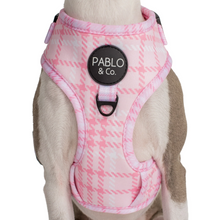 Load image into Gallery viewer, Pablo &amp; Co Pink Houndstooth Adjustable Harness
