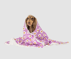 PABLO & CO LILAC SMILEY FLOWERS DOG BLANKET