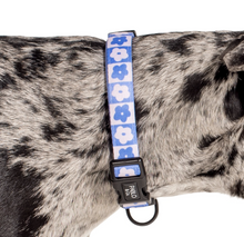 Load image into Gallery viewer, Pablo &amp; Co Blue Checkered Daisies Collar
