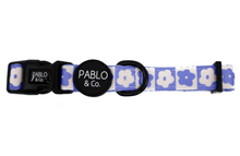 Load image into Gallery viewer, Pablo &amp; Co Blue Checkered Daisies Collar
