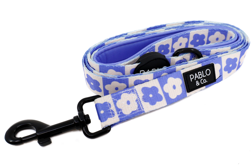 PABLO & CO BLUE CHECKERED DAISIES DOG LEASH
