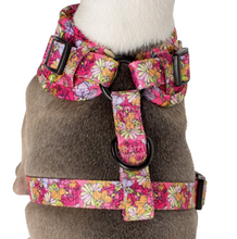 Load image into Gallery viewer, PABLO &amp; CO IN BLOOM ADJUSTABLE HARNESS
