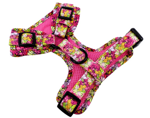 PABLO & CO IN BLOOM ADJUSTABLE HARNESS