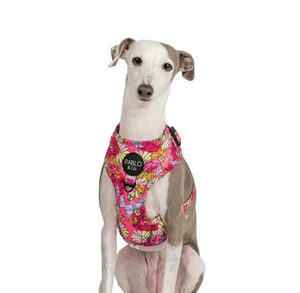 PABLO & CO IN BLOOM ADJUSTABLE HARNESS