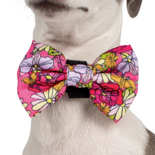 Load image into Gallery viewer, Pablo &amp; Co In Bloom Bow Tie
