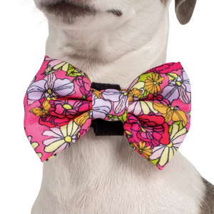 PABLO & CO IN BLOOM BOW TIE