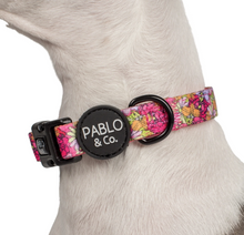 Load image into Gallery viewer, Pablo &amp; Co In Bloom Collar
