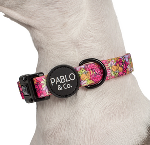 PABLO & CO IN BLOOM COLLAR