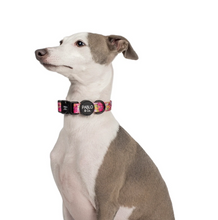 Load image into Gallery viewer, Pablo &amp; Co In Bloom Collar
