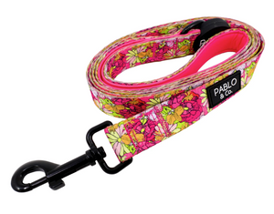 PABLO & CO IN BLOOM DOG LEASH