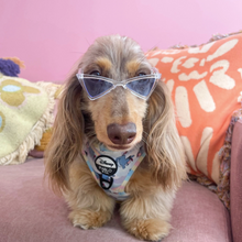 Load image into Gallery viewer, Pablo &amp; Cp Pet Triangle Sunglasses
