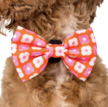 Load image into Gallery viewer, Pablo &amp; Co Pink Checkered Daisies Bow Tie
