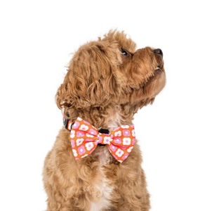 PABLO & CO PINK CHECKERED DAISIES BOW TIE