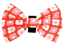 Load image into Gallery viewer, PABLO &amp; CO PINK CHECKERED DAISIES BOW TIE
