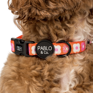PABLO & CO PINK CHECKERED DAISIES COLLAR