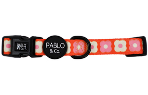 PABLO & CO PINK CHECKERED DAISIES COLLAR