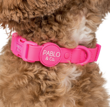 Load image into Gallery viewer, Pablo &amp; Co Dragonfruit Waterproof Collar
