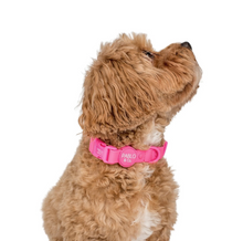Load image into Gallery viewer, Pablo &amp; Co Dragonfruit Waterproof Collar
