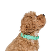 Load image into Gallery viewer, Pablo &amp; Co Peppermint Waterproof Collar
