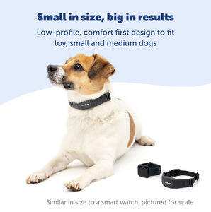 PETSAFE NANOBARK COLLAR