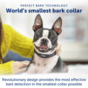 PETSAFE NANOBARK COLLAR