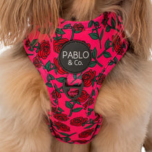 Load image into Gallery viewer, Pablo &amp; Co Rosie Adjustable Harness

