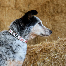 Load image into Gallery viewer, Pure Western Randy Dog Collar
