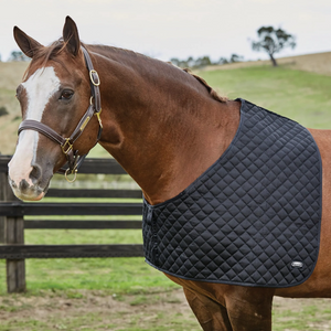 ROMA DELUXE RUG SHOULDER GUARD