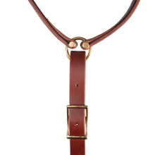 Load image into Gallery viewer, PROFESSIONAL CHOICE RANCH COLLECTION TIE DOWN SET
