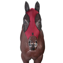 Load image into Gallery viewer, Kool Master Lycra Pull On Fly Mask
