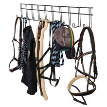 Load image into Gallery viewer, Ten Hook Tack Rack
