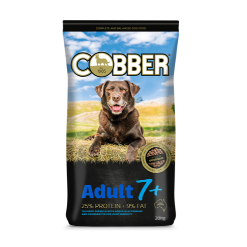 Cobber Adult 7+ (Senior)