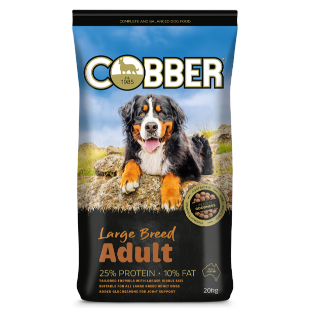Cobber Large Breed Adult