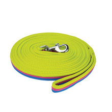 Load image into Gallery viewer, Brite Lunge Lead
