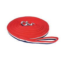 Load image into Gallery viewer, Brite Lunge Lead
