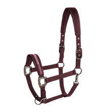 Load image into Gallery viewer, Tommy Hilfiger Yale Shine Set Halter &amp; Lead Rope
