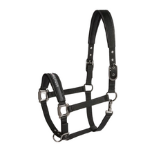 Load image into Gallery viewer, Tommy Hilfiger Yale Shine Set Halter &amp; Lead Rope
