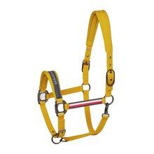 Load image into Gallery viewer, Tommy Hilfiger Yale Set Halter &amp; Lead Rope

