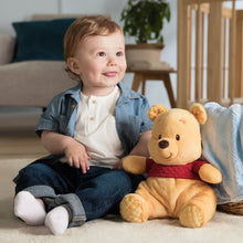 Load image into Gallery viewer, Disney Oh So Snuggly Winnie The Pooh
