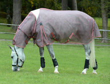 Load image into Gallery viewer, Weatherbeeta Comfitec Ripshield Combo Rug
