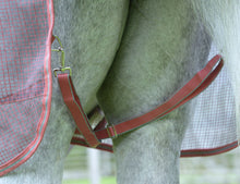 Load image into Gallery viewer, Weatherbeeta Comfitec Ripshield Combo Rug

